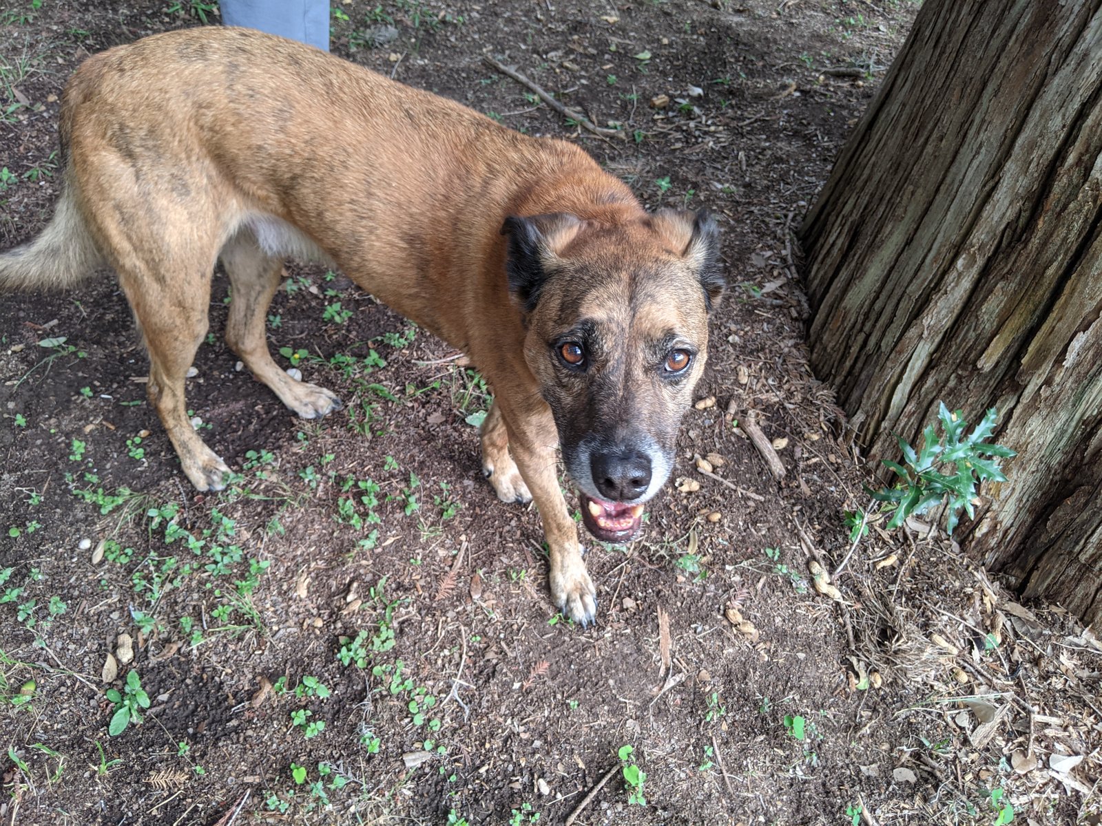 PXL 20211002 204044498