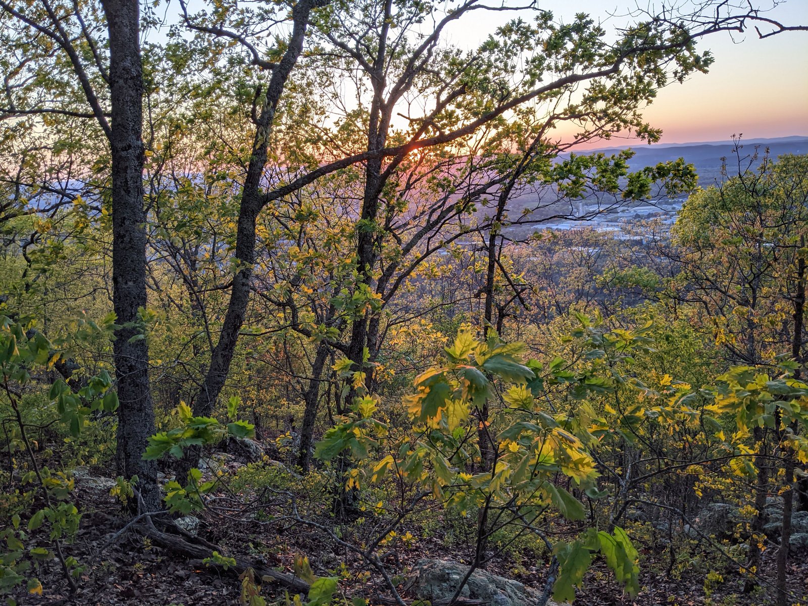 PXL 20210411 003436054