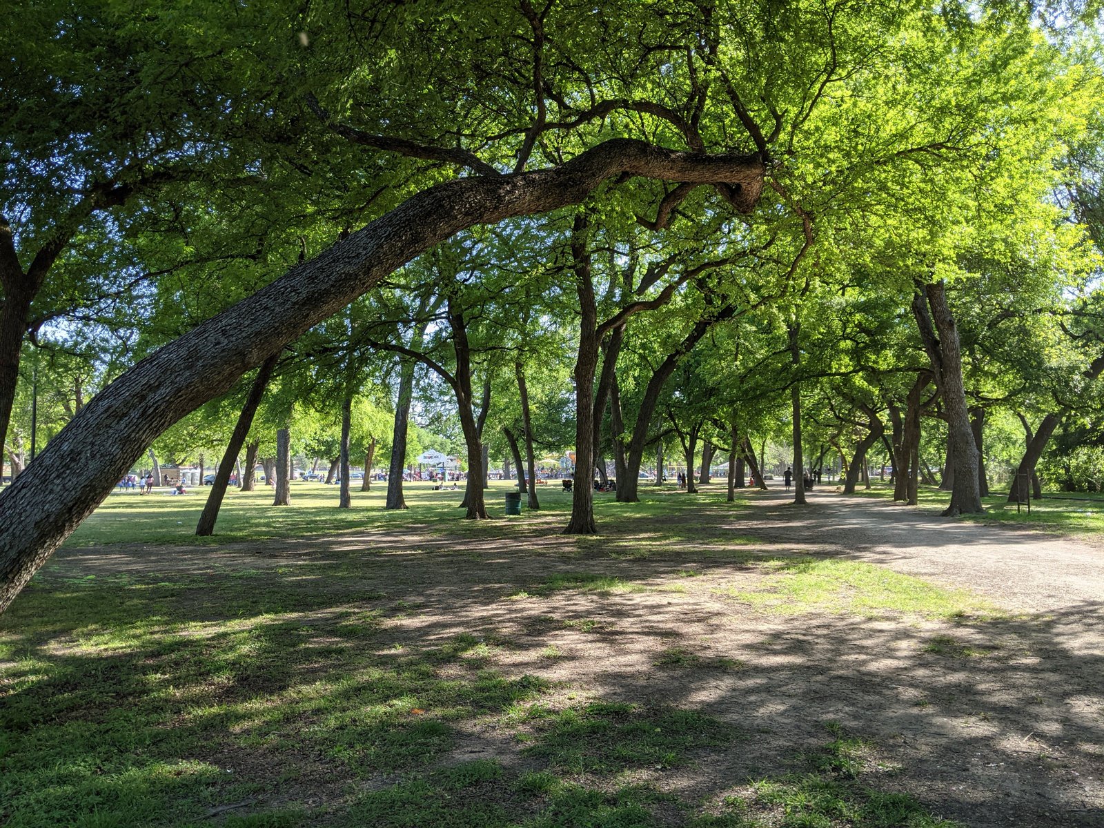 PXL 20210411 220603159