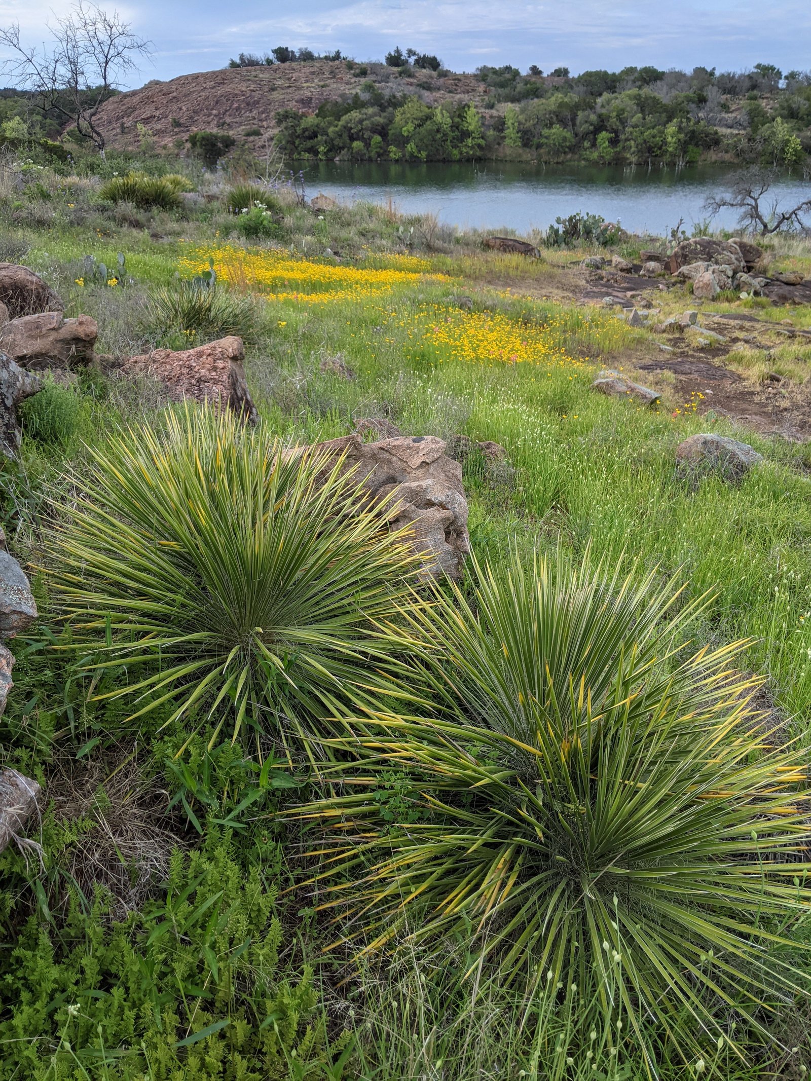 PXL 20210417 232045138