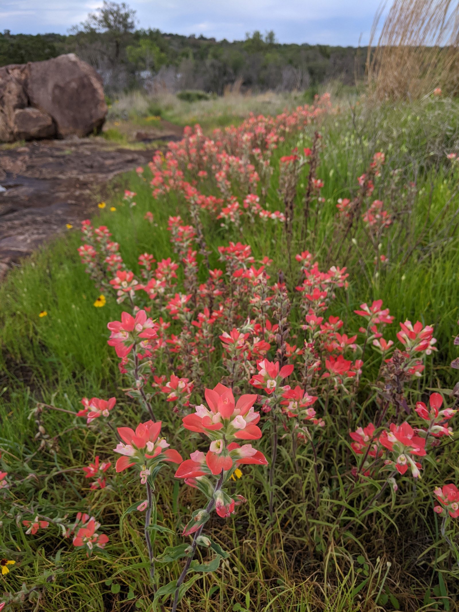 PXL 20210417 232154464