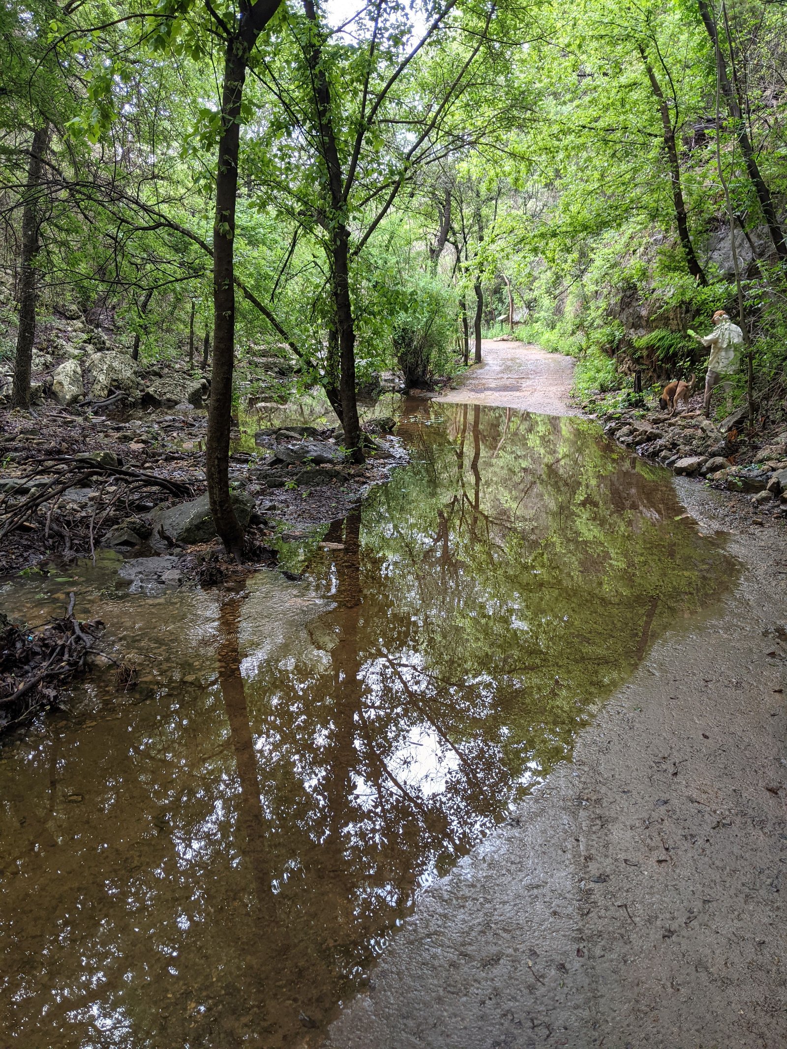 PXL 20210430 220030668