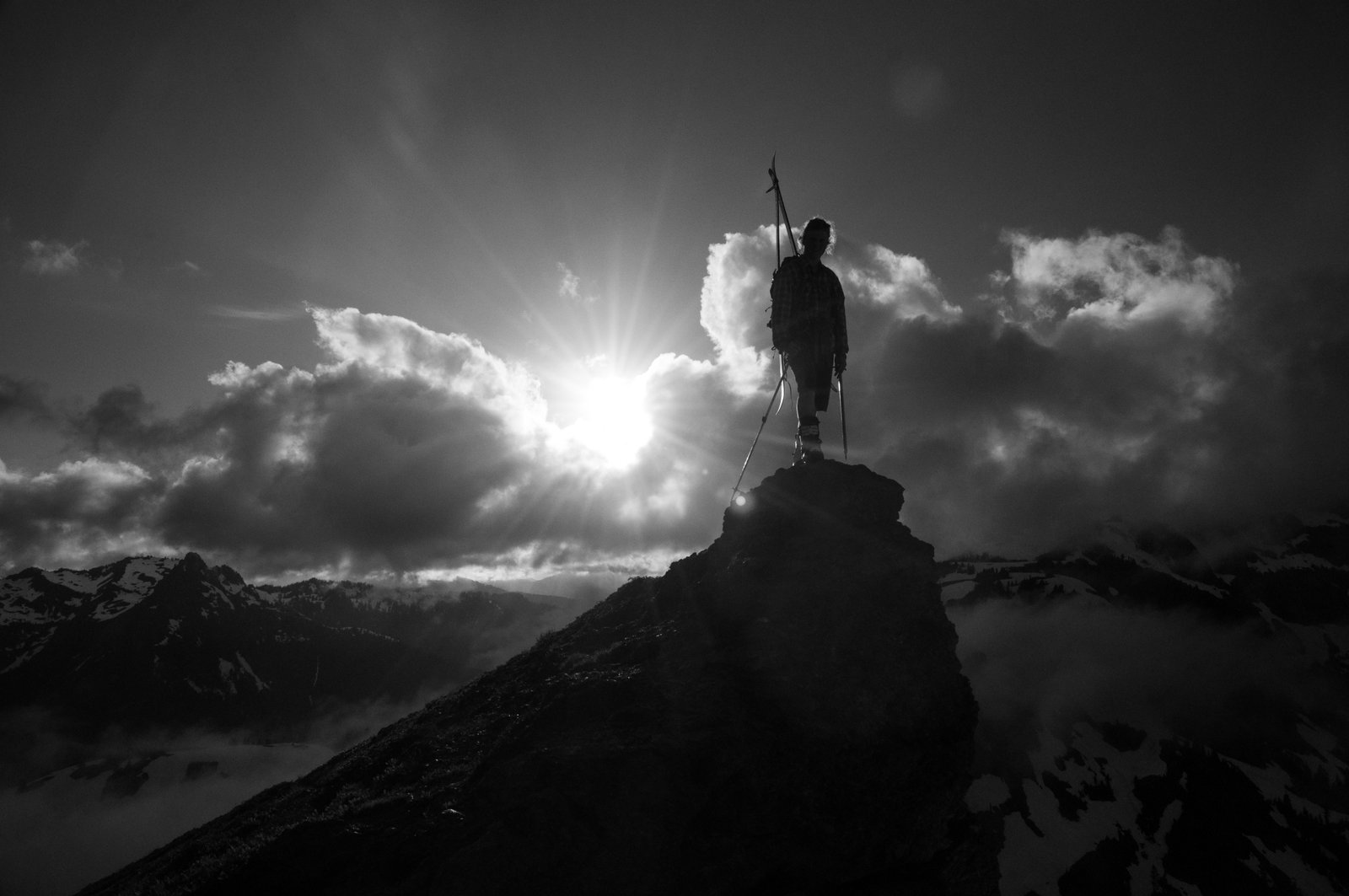 AndrewYellowAsterButte