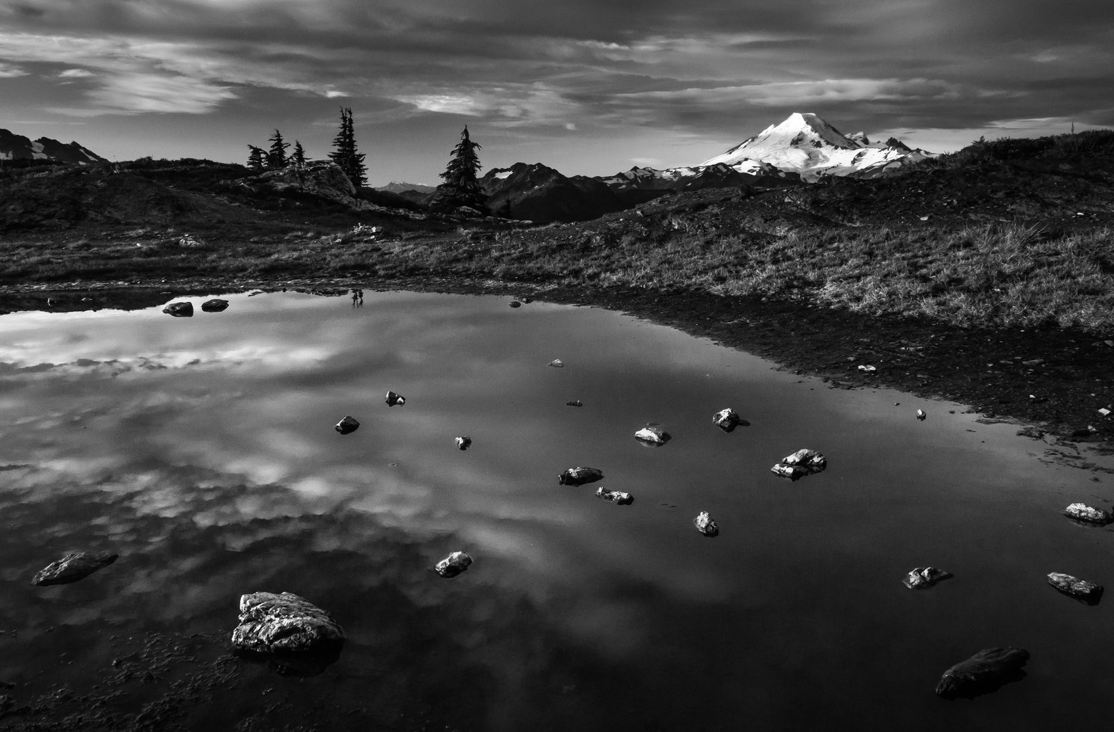 BakerFromYellowAsterButte