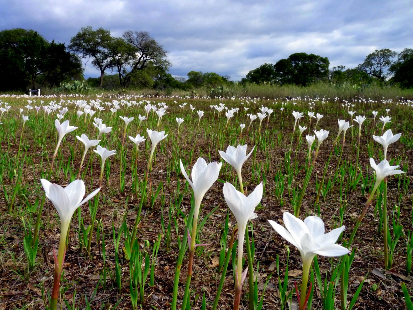 It rained 3926857559 o