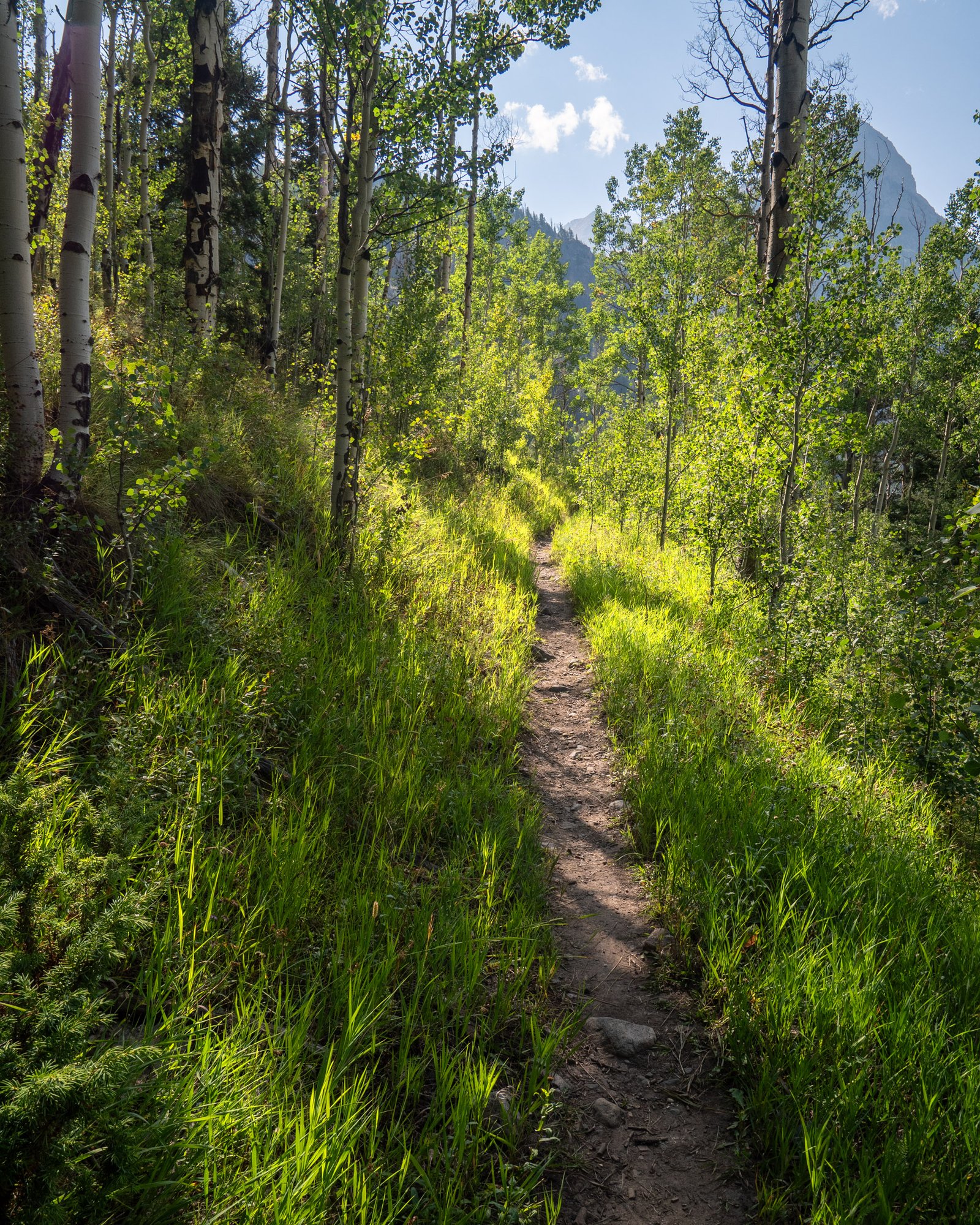 ArrowPeak2024web72625 9077389