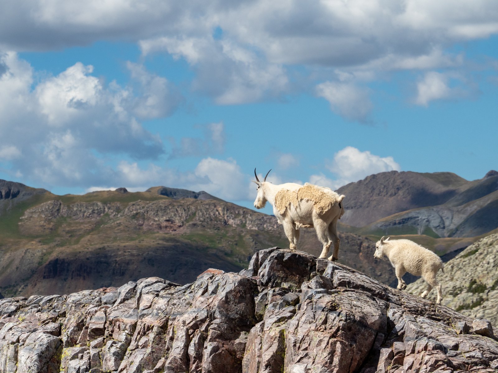 Arrow23 ExportDec25 1010870