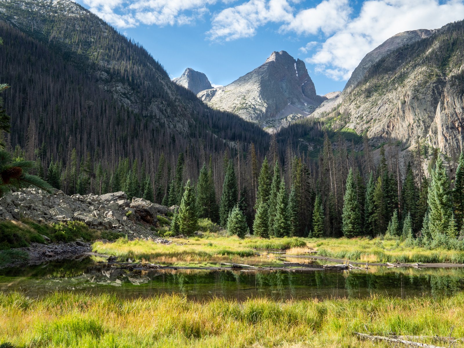 Arrow23 ExportDec25 1012206