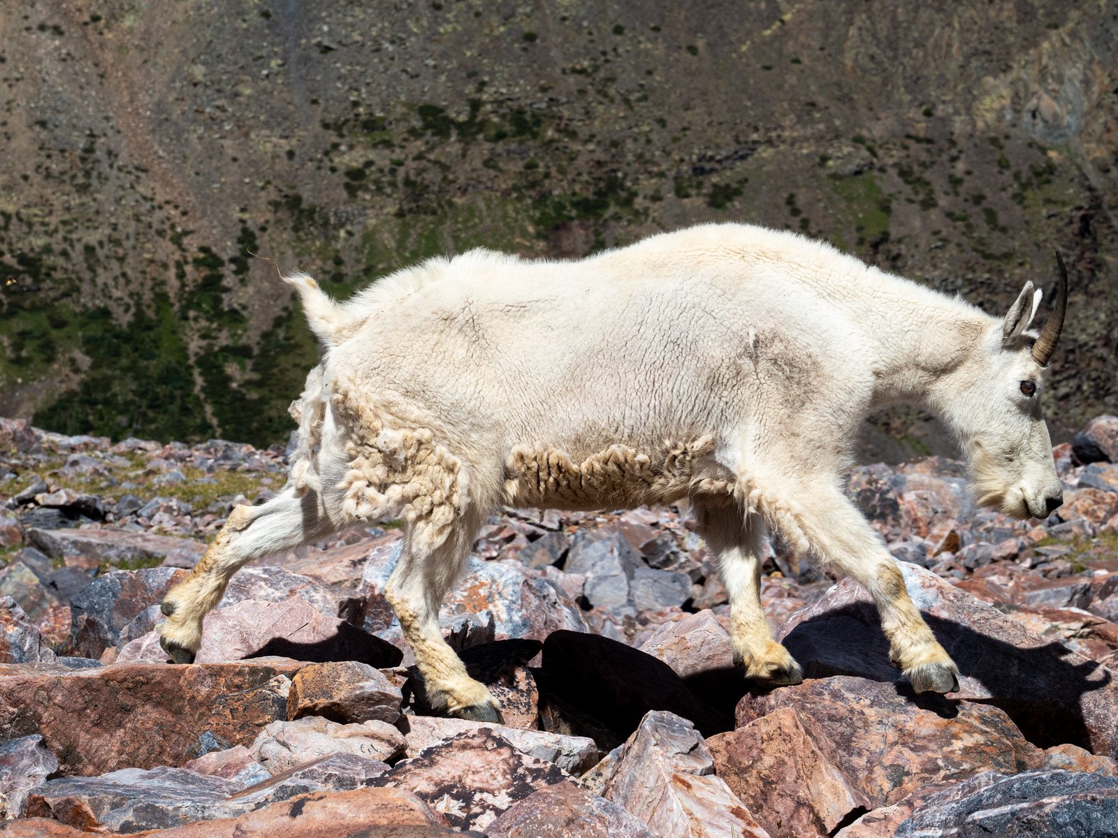 ArrowVal2023 export091125 1010800