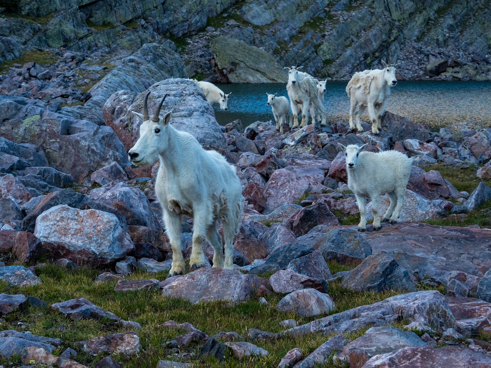 ArrowVal2023 export091125 1011148