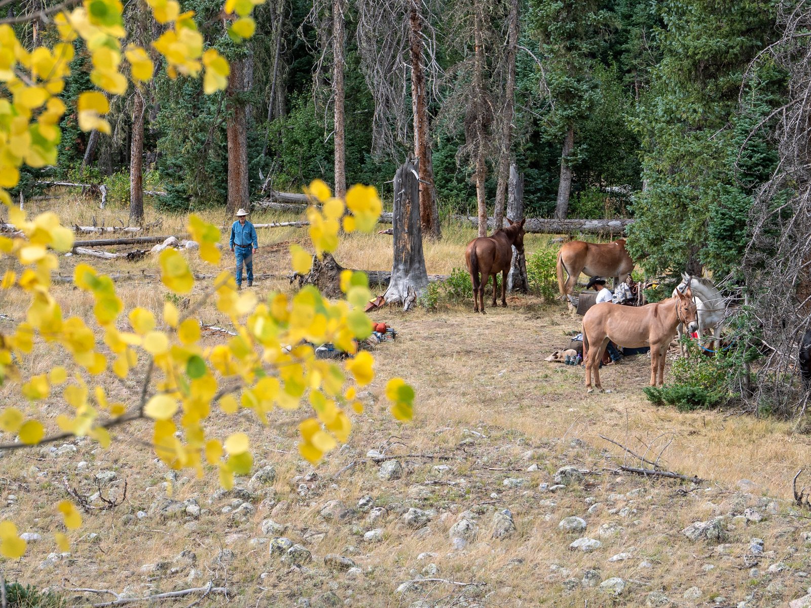 Colorado2560px0825 8185061