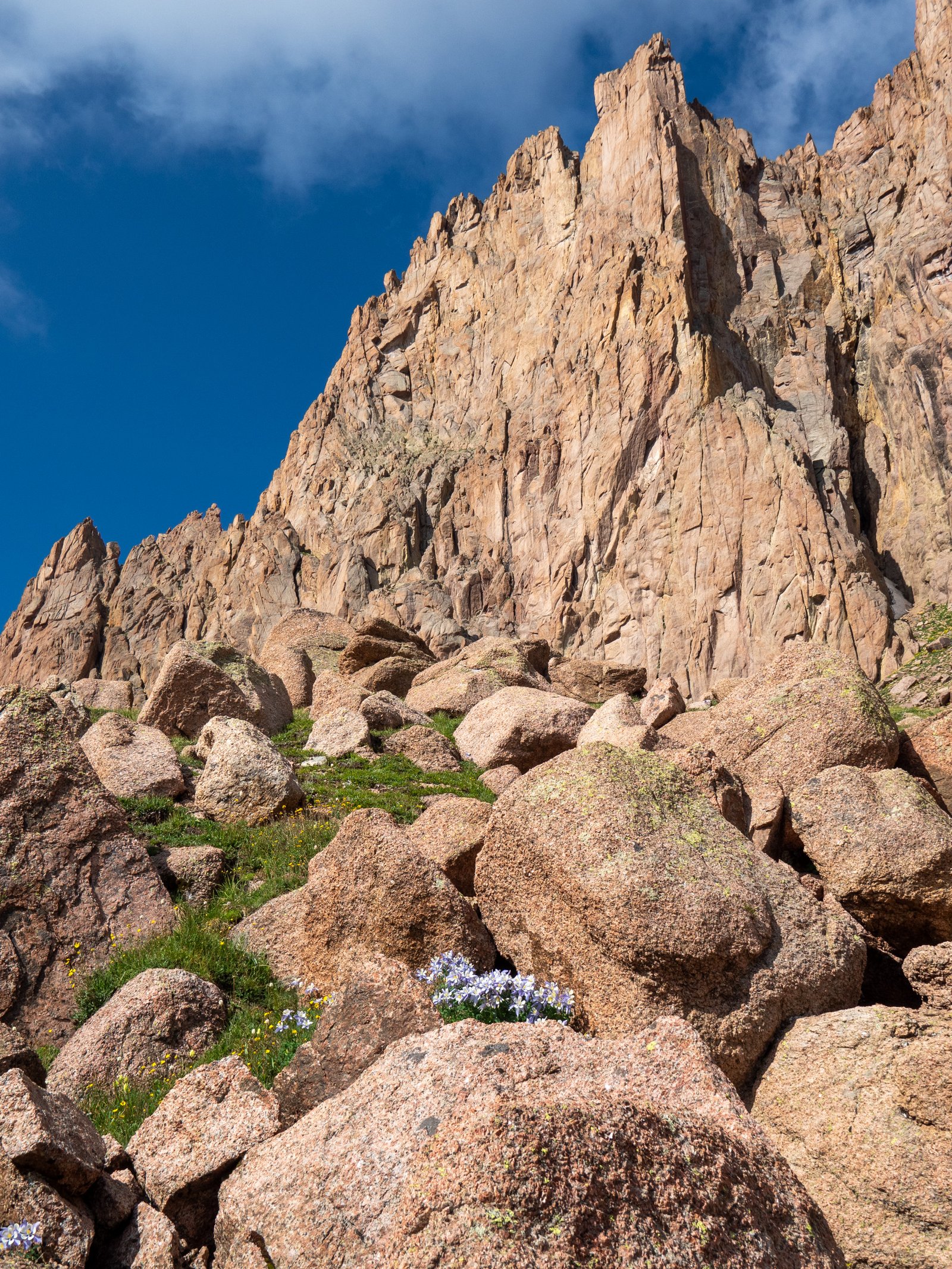 RubyJagged24 7266091