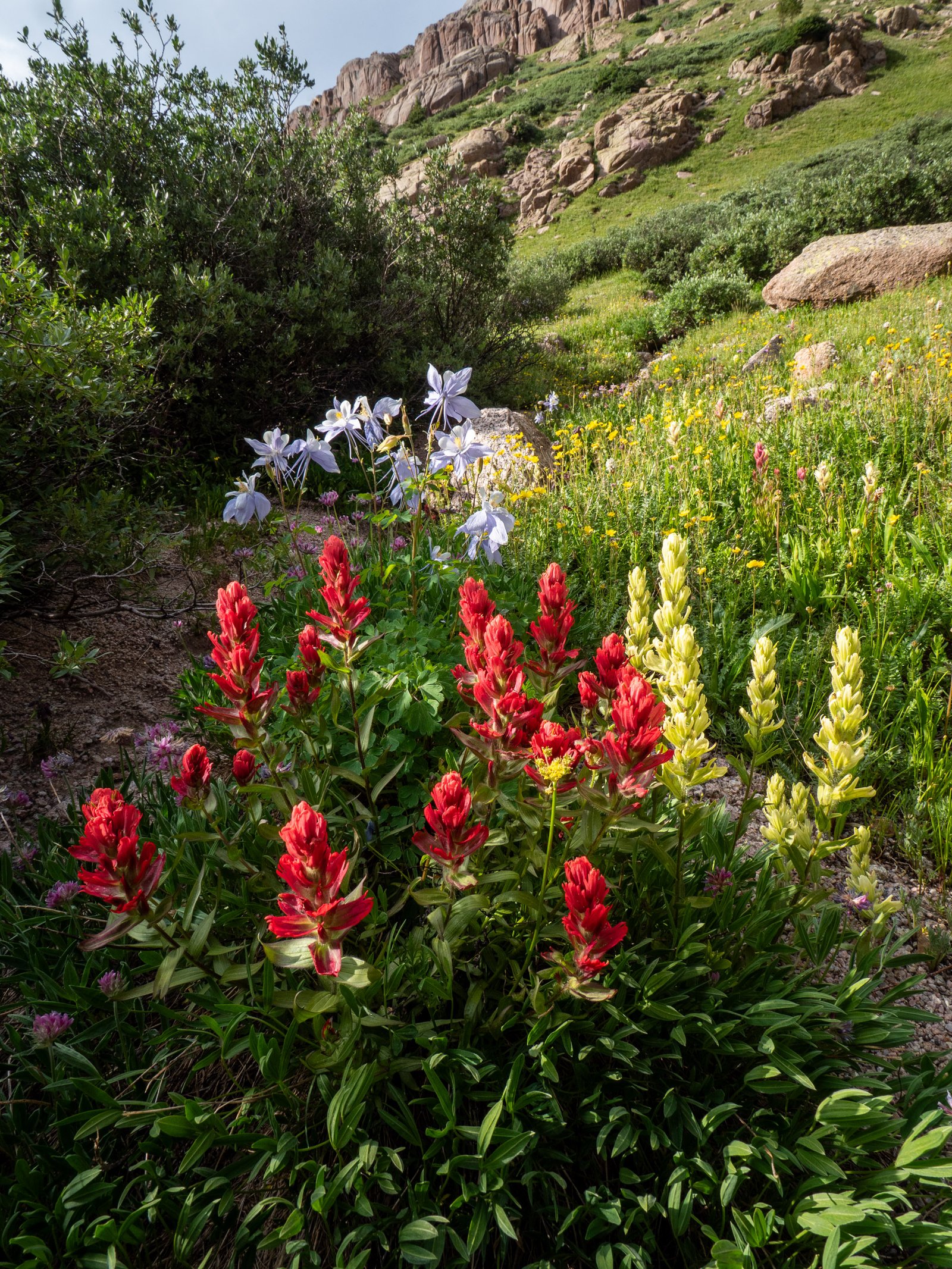 Jaggedruby2024web 7256022