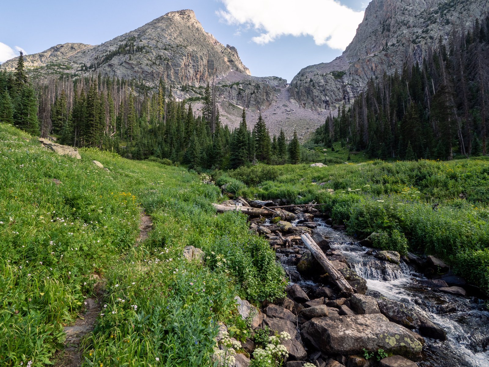 Jaggedruby2024web 7297263