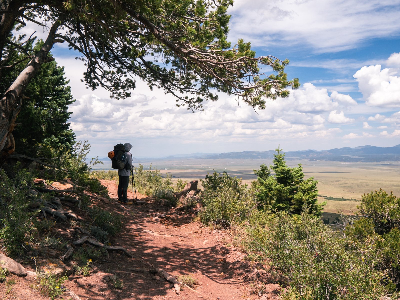 Sangre2025 export091125 1