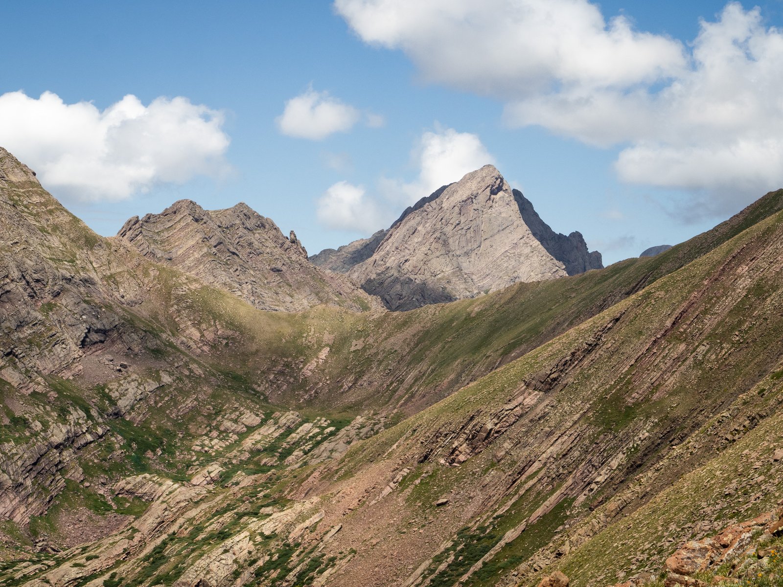 Sangre2025 export091125 17