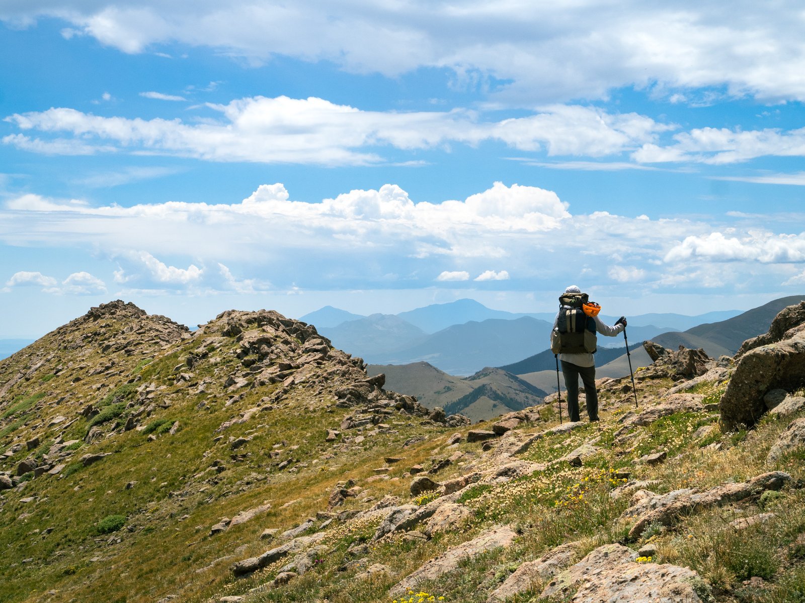 Sangre2025 export091125 18