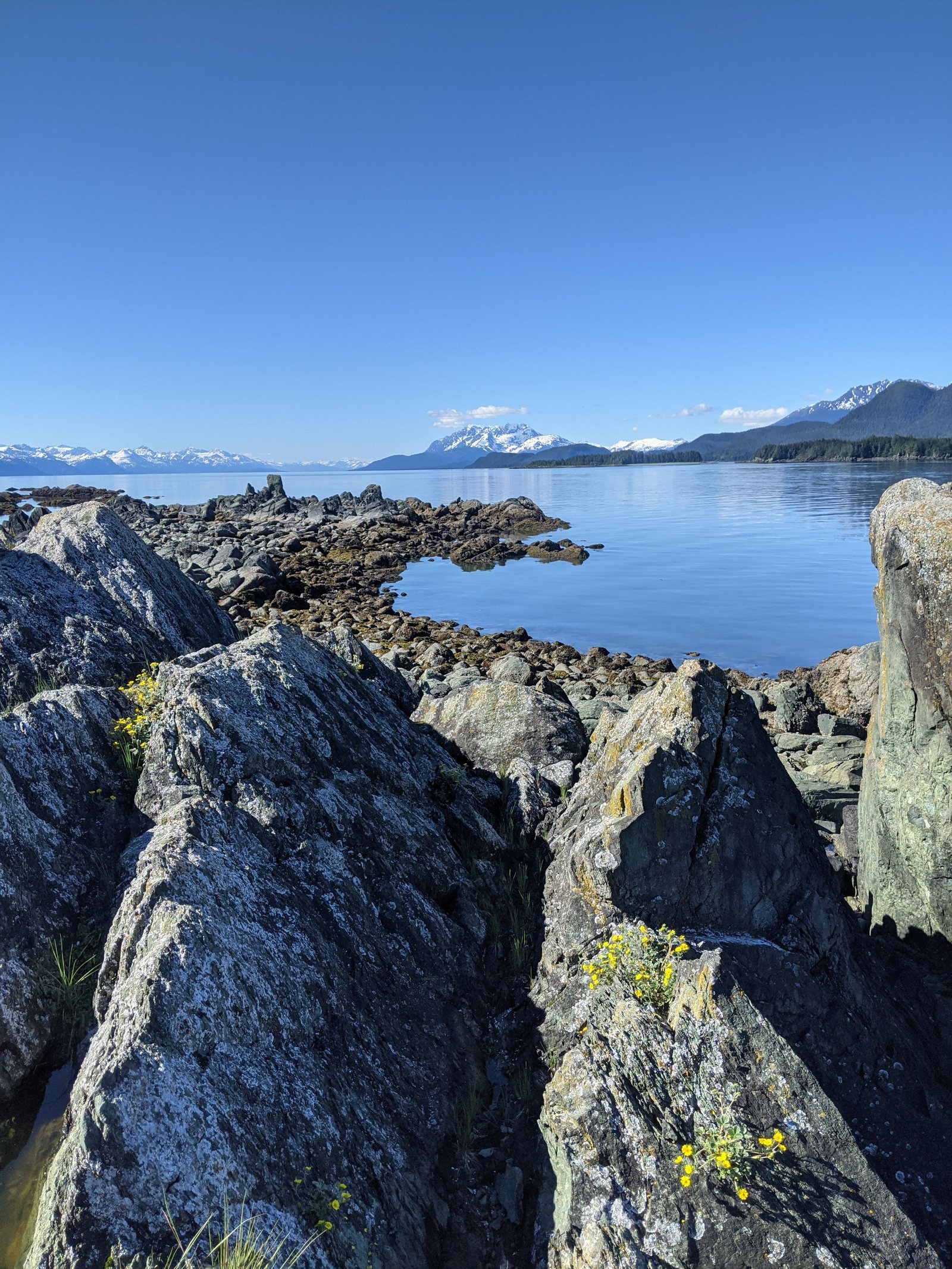 PXL 20210609 004353063