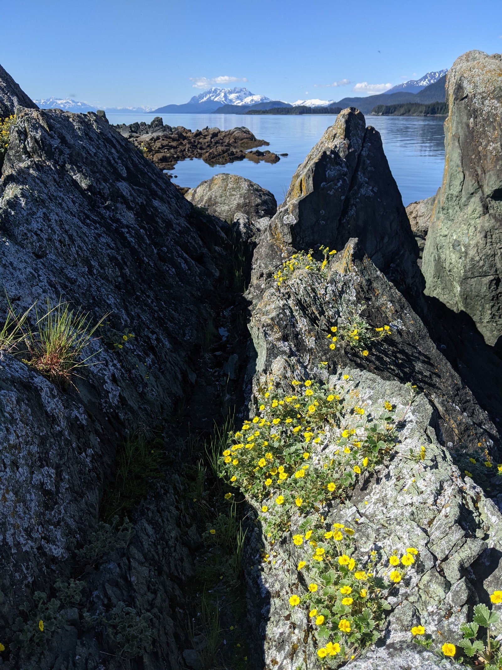 PXL 20210609 004359748