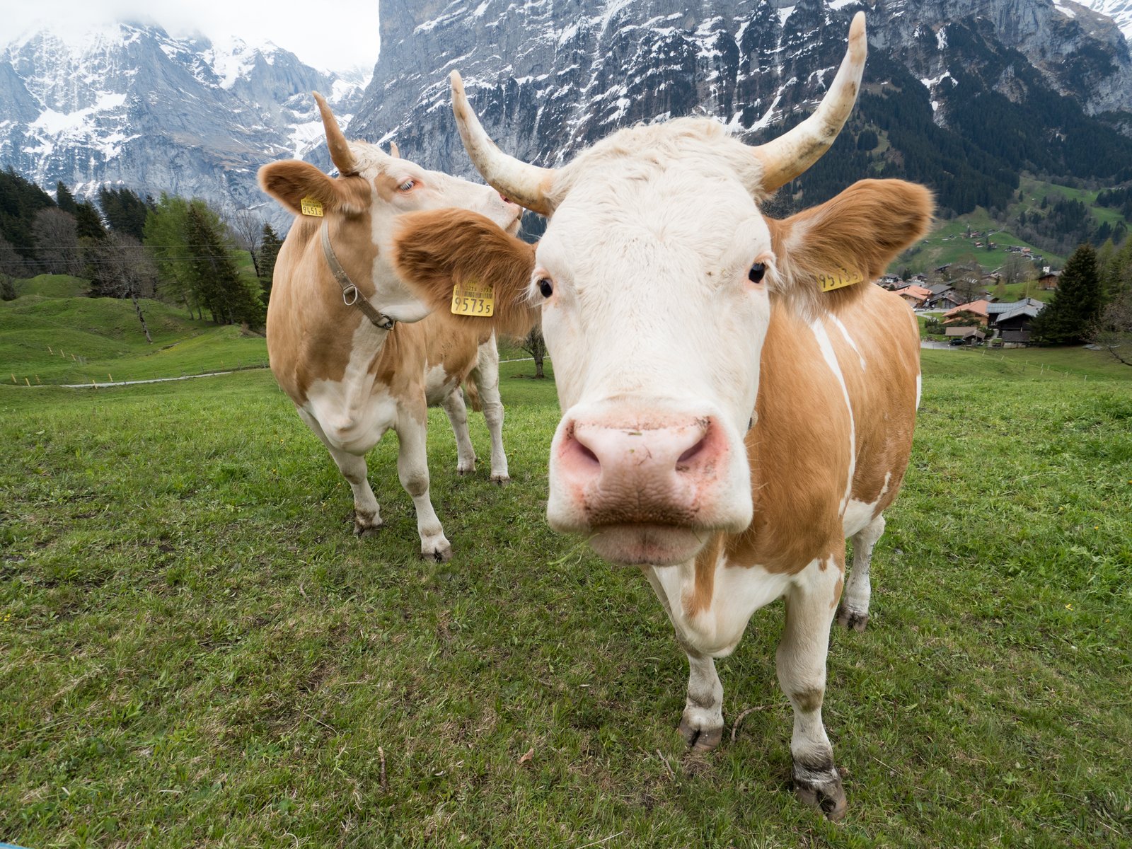 Switzerland2019 0744