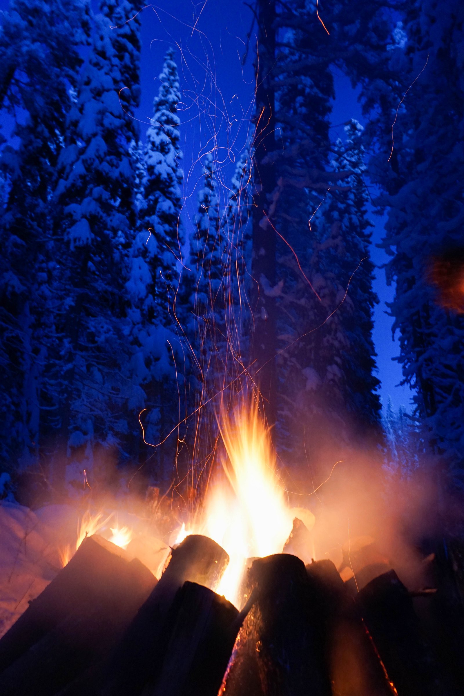 Camp15 24180326885 o