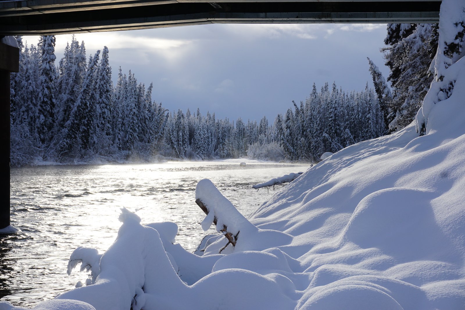 Unistoten2015 export12 25 7