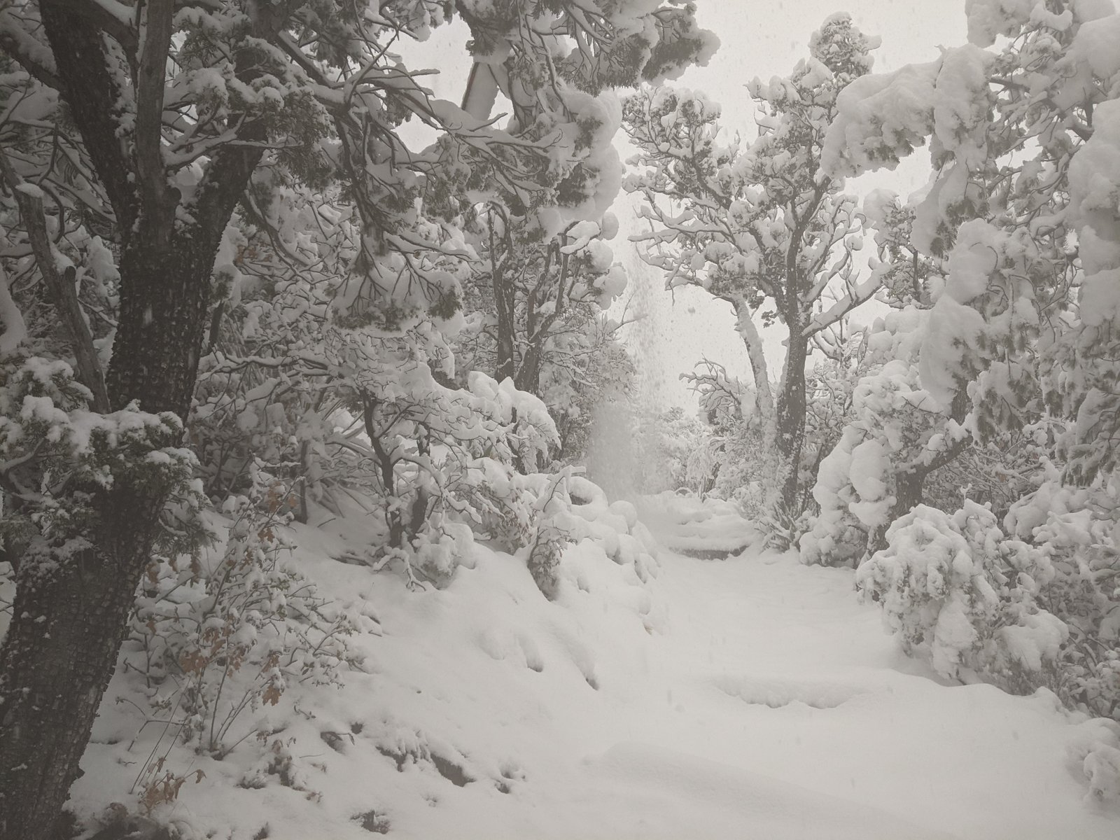 PXL 20210218 141642324