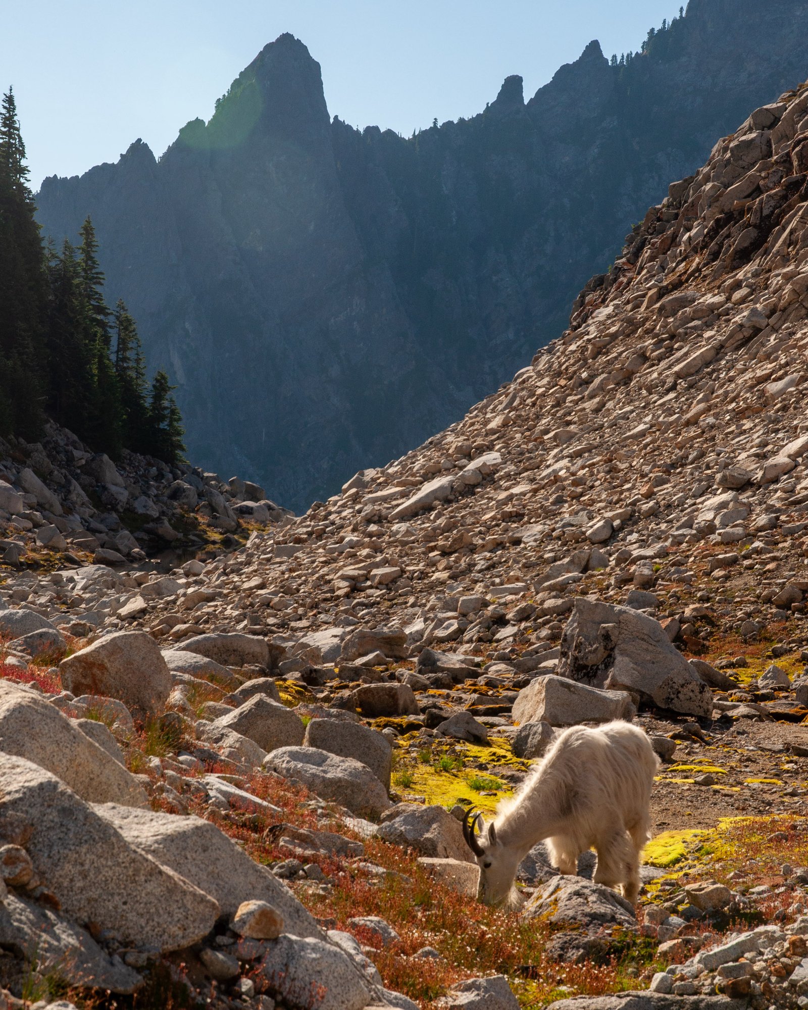 Vesper2015 080225 0402