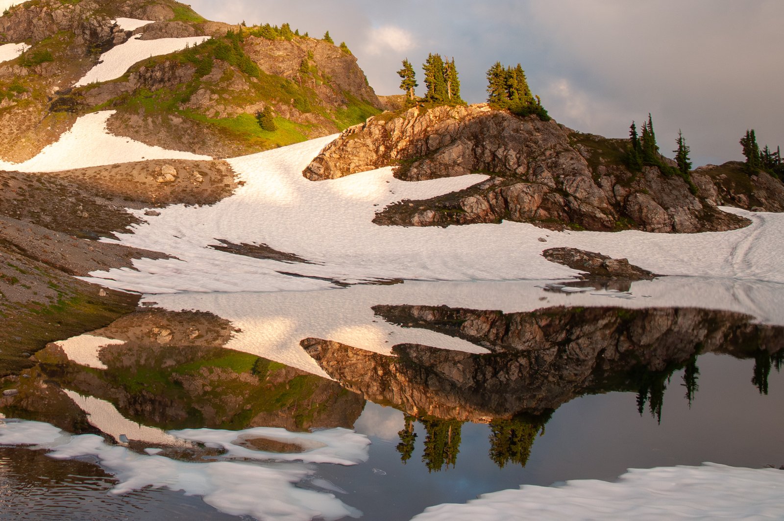 Yellowaster14 export090725  2