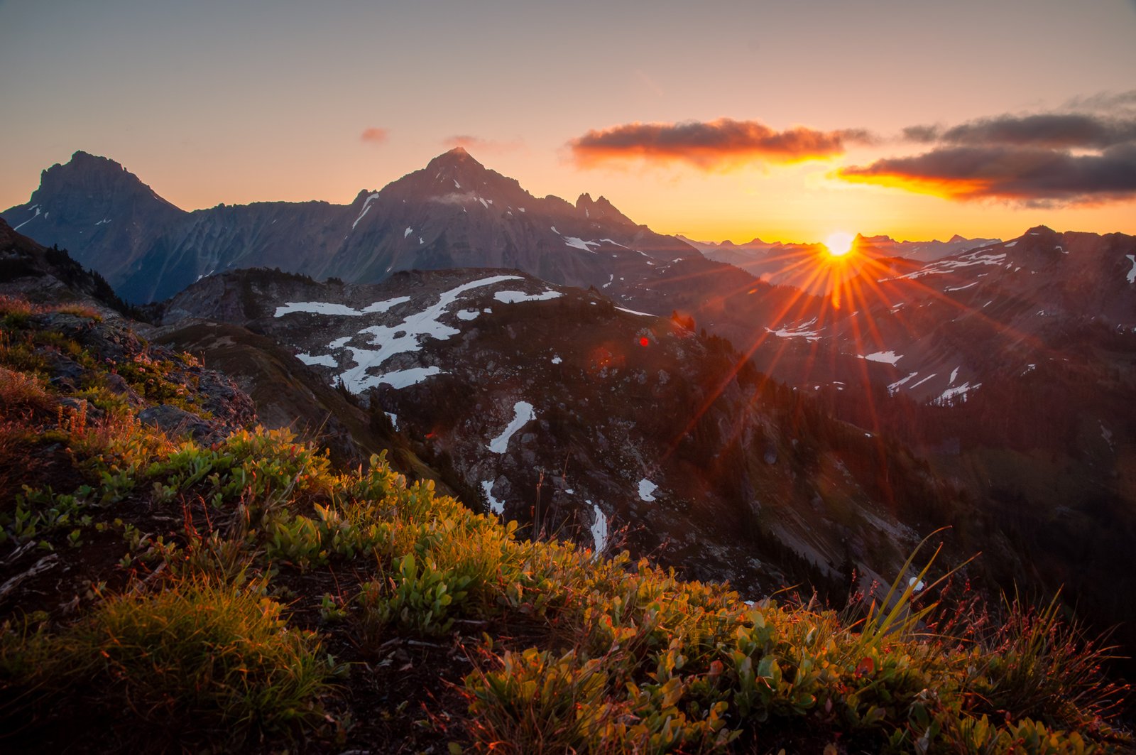 Yellowaster14 export090725  3