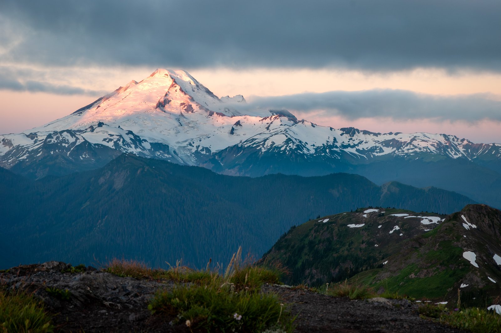 Yellowaster14 export090725  4