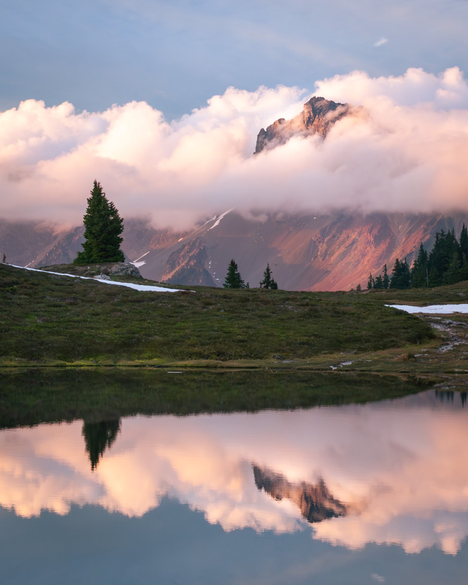 Yellowaster14 export090725 