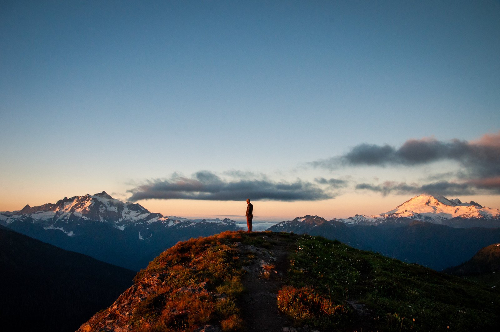 Yellowaster14 export090725 0015