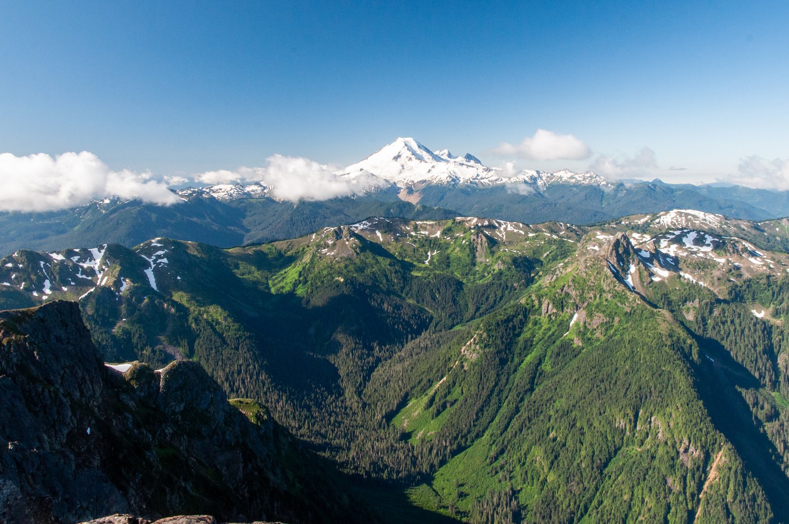 Yellowaster14 export090725 0614