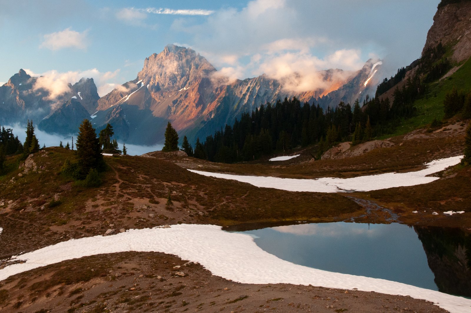 Yellowaster export091125 1 10