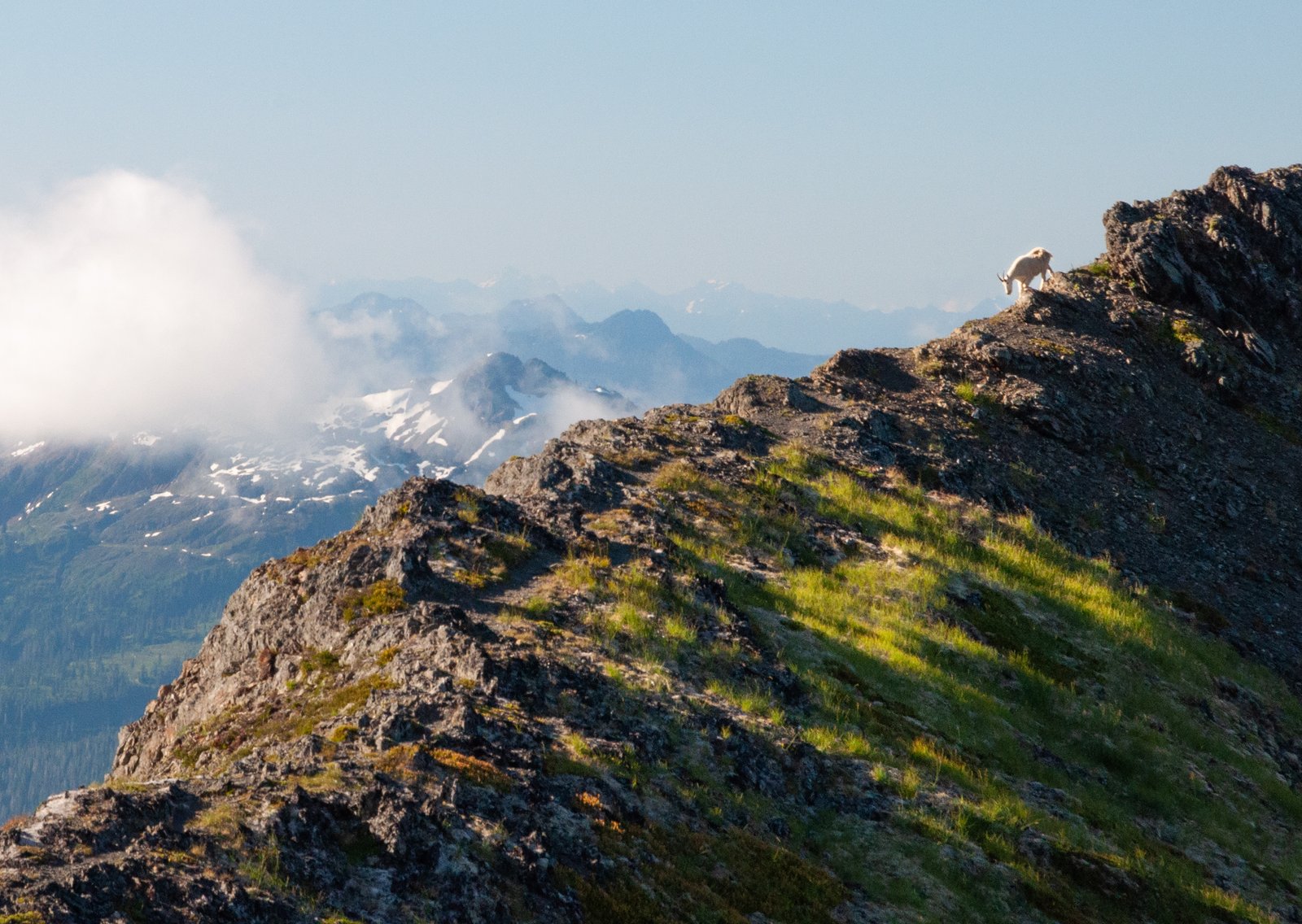 Yellowaster export091125 1 7