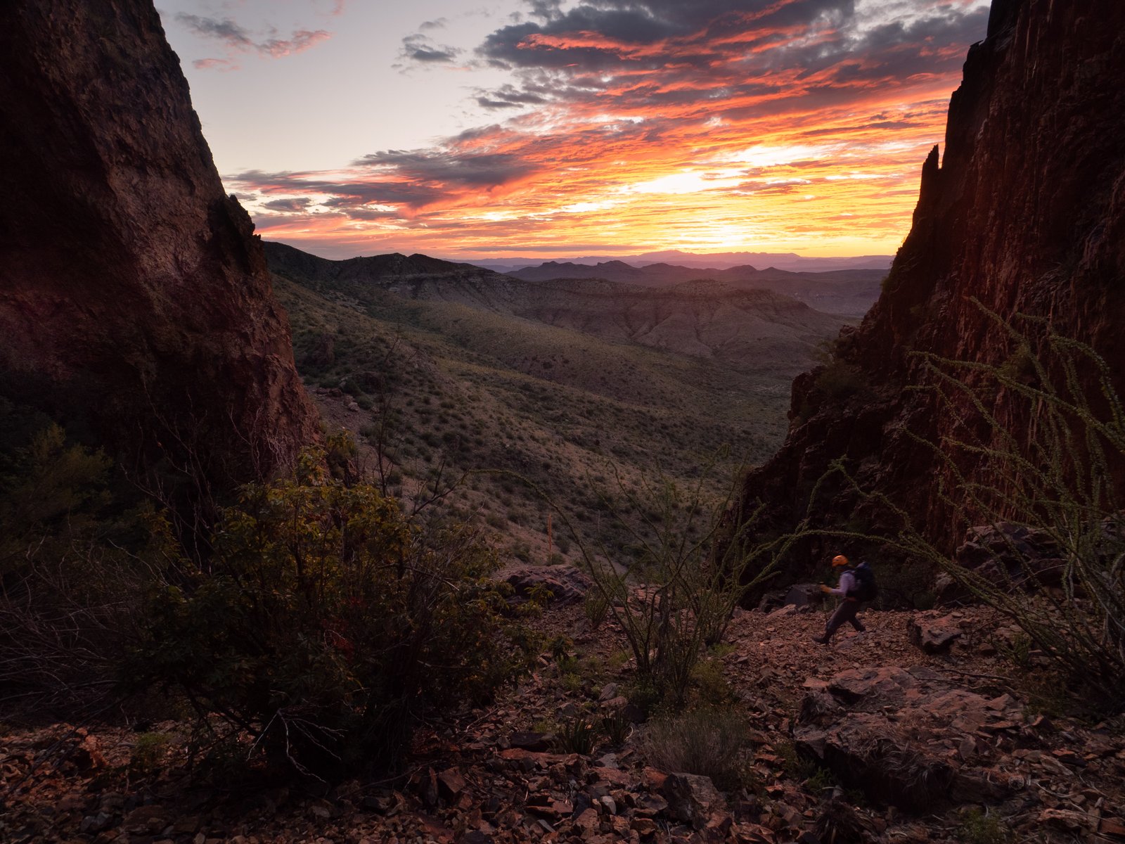DescendingCattailCanyon