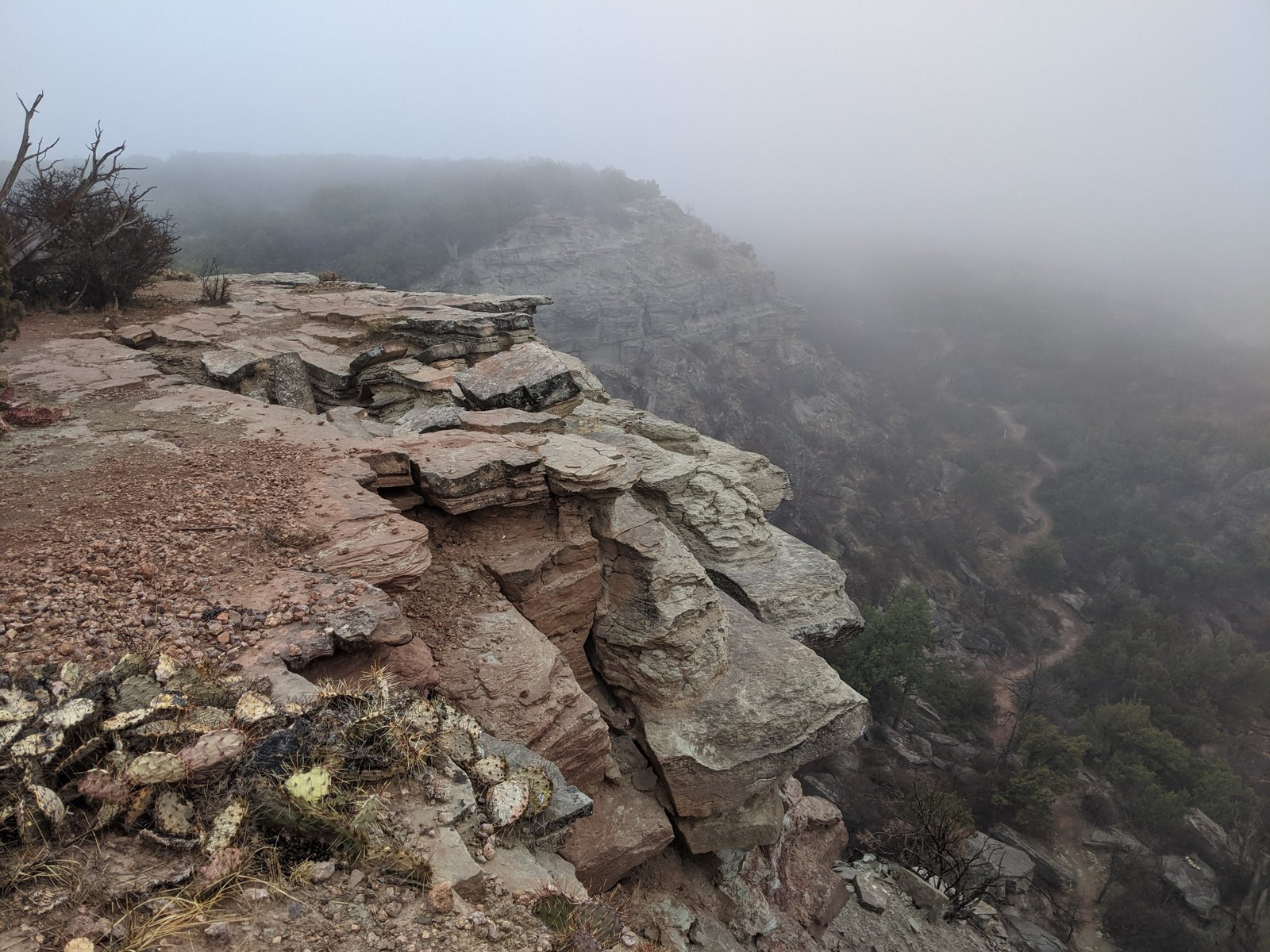 PXL 20210313 145000869